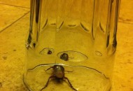 Cockroach found in Best Western Plus Meridian Inn and Suites