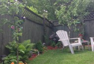 landscaping_ideas