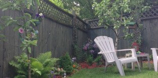 landscaping_ideas