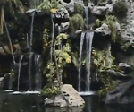 Vintage Disneyland video - 1978