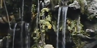 Vintage Disneyland video - 1978